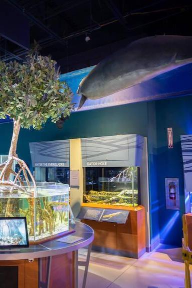 Cox Science Center and Aquarium